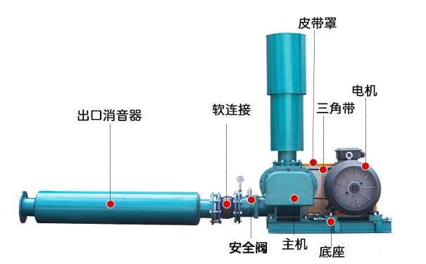 三叶罗茨鼓草莓视频H在线(图3)