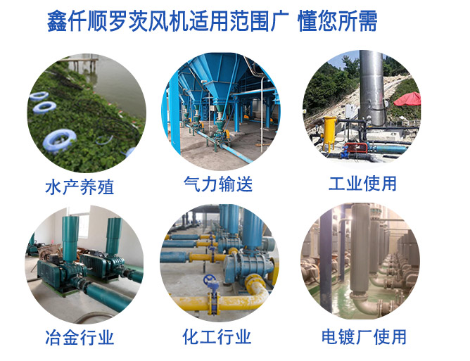 高压罗茨鼓草莓视频H在线