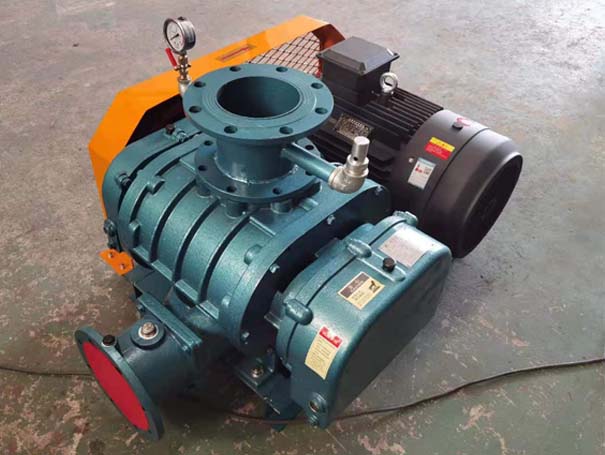 罗茨真空泵 罗茨草莓视频H在线厂家发货江西罗茨真空泵XQSSR125v5台(图1)